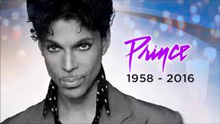 Prince - Pheromone