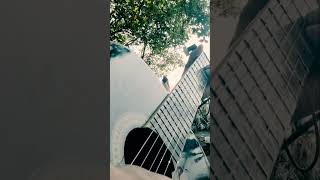 Download lagu Story Wa Guns and Roses#shortsfeed#shortvideo mp3