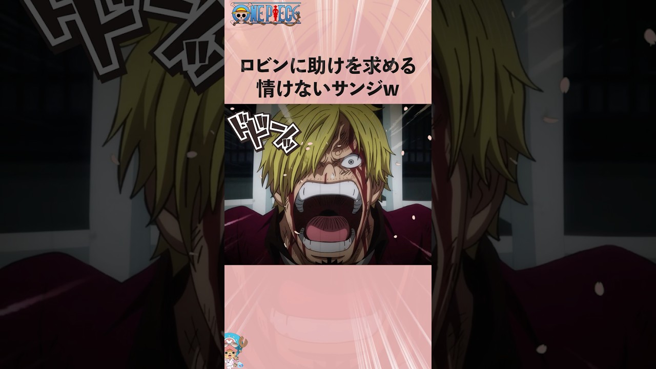 ロビンに助けを求める情けなくもカッコいいサンジw #onepiece #ワンピース #アニメ #雑学