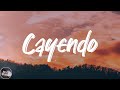 Frank Ocean - Cayendo (Side A - Acoustic) (Lyrics)