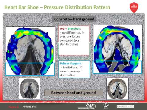 Werkman Accademy Video 11