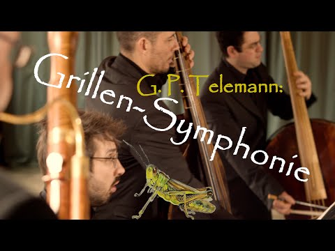 G. P. Telemann: "Grillen-Symphonie", Concert à 9 Parties TWV 50:1
