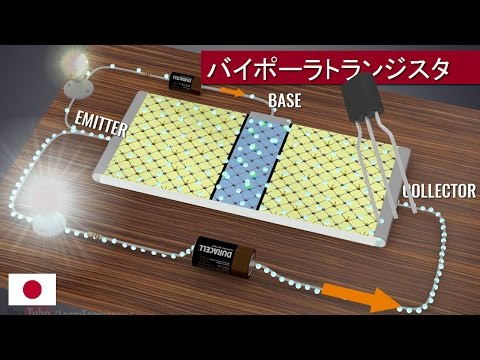 シンペトラムについて詳しく解説