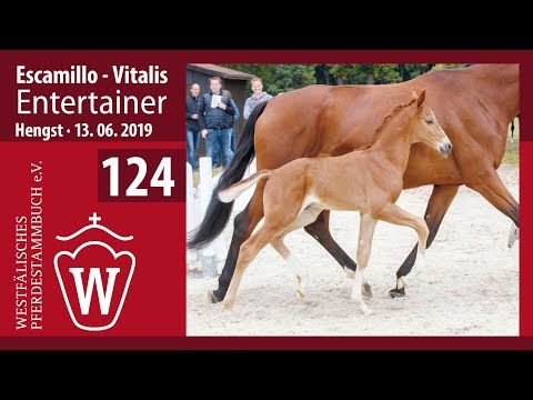 124 Entertainer Hengst v. Escamillo - Vitalis