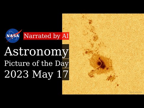 APOD: 2023-05-17 - Sunspot with Light Bridge (Narrated by Salli)