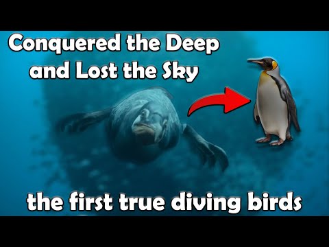 The First True Ocean Diver | Hesperornis