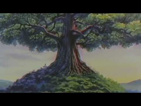 Video thumbnail for Sakura Trees