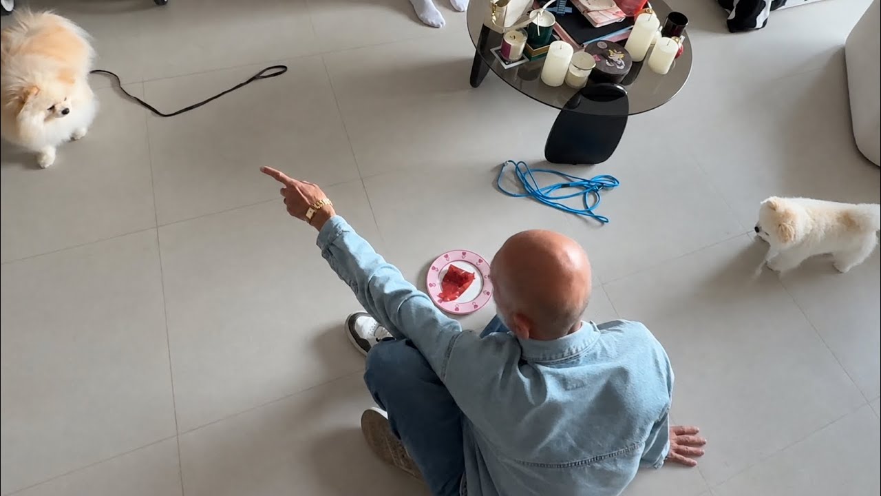 Лай, беспокойство, неуверенность, навязчивость (Часть 1, Дом)