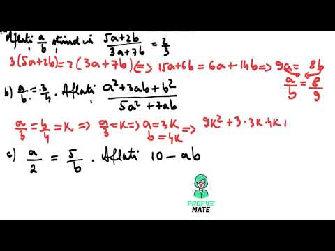 Exerciții cu rapoarte