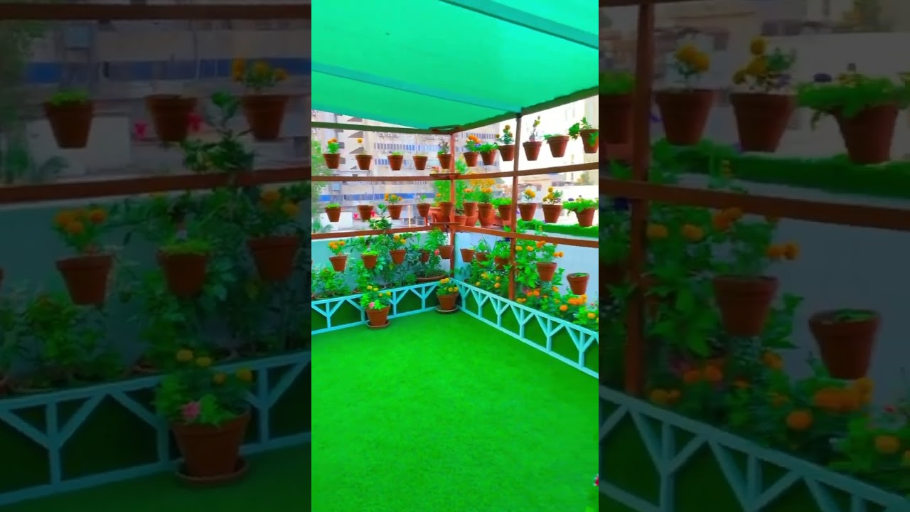 amazing rooftop garden 🏡//beautiful rooftop garden #garden #homegarden