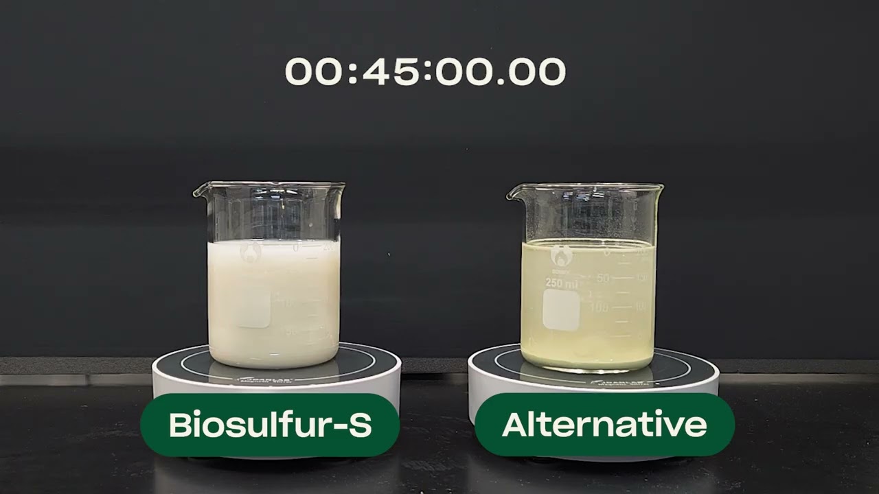 Video preview poster