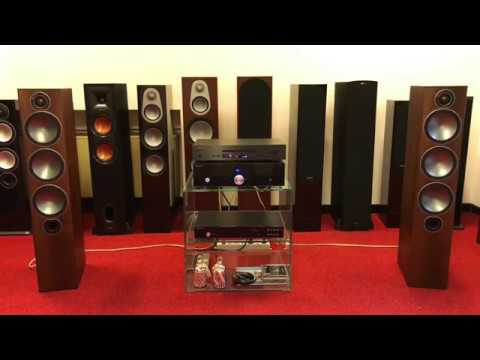 Monitor audio SILVER 300 vs BRONZE 6