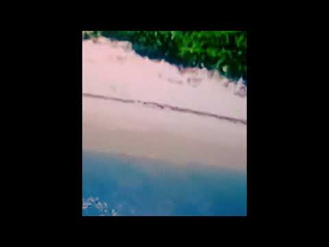 Eddie X Murphy - L' Uomo Deve Morire