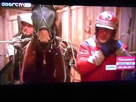 Istálló látogatás kuponban