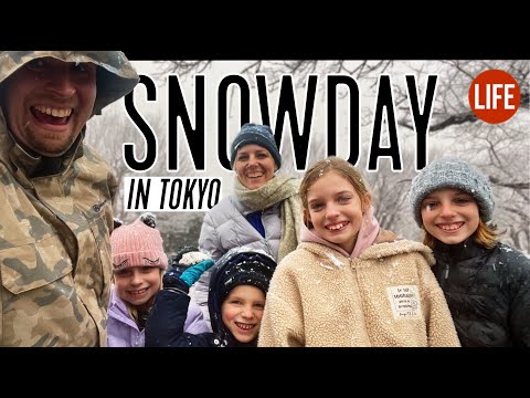Snow Day in Tokyo | Life in Japan Episode 142