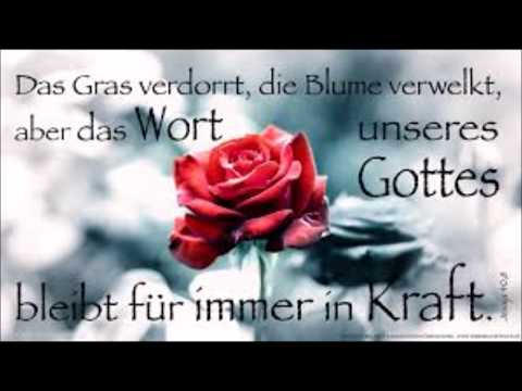 GOTTES WORT UNVERSTÄNDLICH ? ...B.D.- Nr: 5306