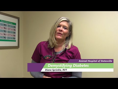 Demystifying Diabetes
