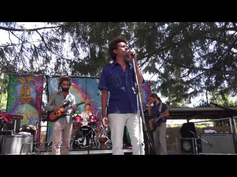 Zvuloon Dub System Sierra Nevada World Music Festival June 21 2014 whole show