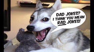 Why Frosty Tells Jokes. The story.