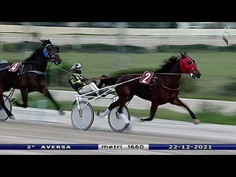 Aversa trotto 22 Dicembre 2021 - 2° Corsa