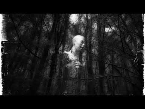 Erly Tepshi & Alberth feat. John M - Miss You (Alberth Version)