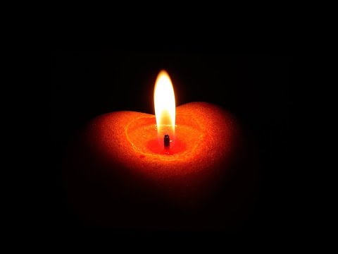 Joel Brandenstein - Einmal sehen wir uns wieder ;-(