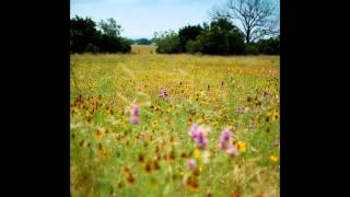 Tully   Tully Side One, Part Two