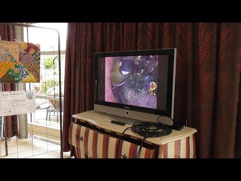 Des mésanges à la tourelle d'argent Trémuson