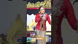 Download lagu Manohara keluar jiwa aslinya wkwk #hiburan #manoharasinden #cakpercil #percilcs #dagelan #kocak mp3