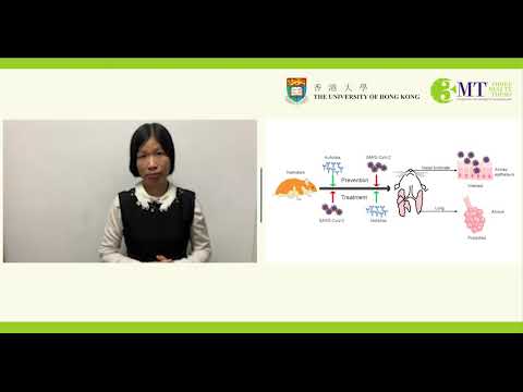 HKU 3MT Competition 2021 - Candidate #18