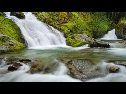 Tranquility: Time Reflection | Music United with Nature