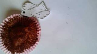 Stop Frame animation to 'Lisa Mitchell - Neopolitan Dreams'