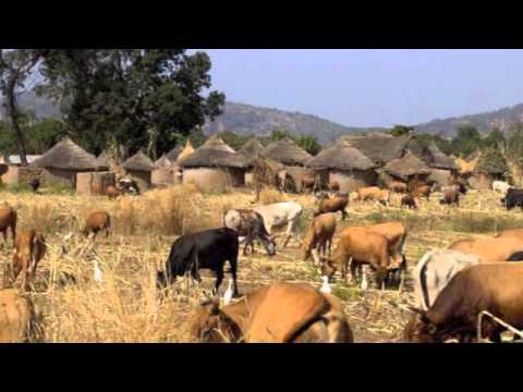 Laminingbè Bayo - Ourémbaya (musique traditionnelle maninka)