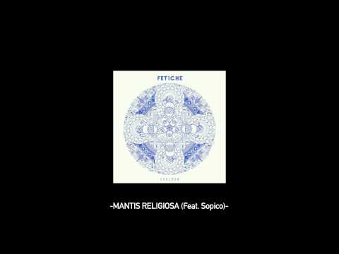 Video thumbnail for Mantis religiosa