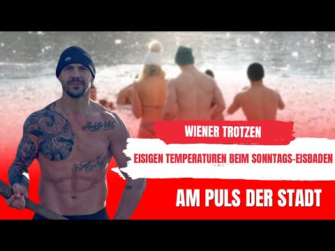 Eisbaden in Wien: Der Club der Wiener Eisbären trotzt eisigen Temperaturen am Hirschstättner Teich