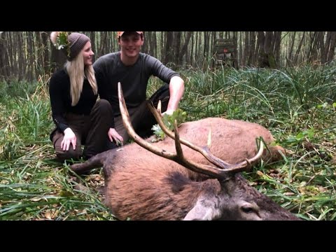 Rothirschjagd zur Brunft Trailer - HOD - Hunter Brothers