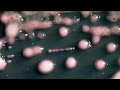 Superbug At UCLA Medical Center Could Have Role In Two Deaths