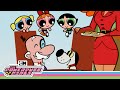 Girls VS One Sassy Dog The Powerpuff Girls Cartoon Network