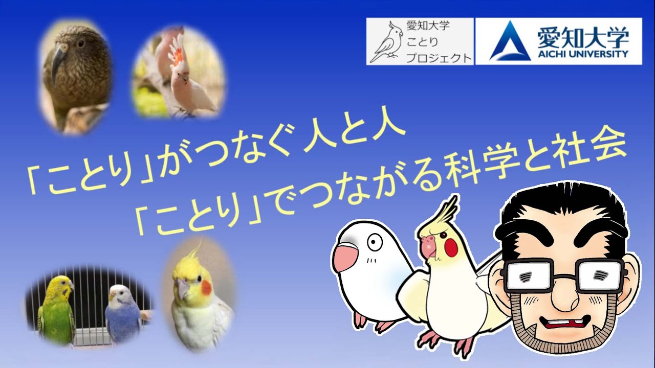2月14日愛知大学でインコについて語る事になりました(概要欄に追記あり)