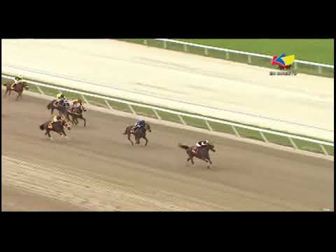 Copa Confraternidad del Caribe 2022 - Version Hembras