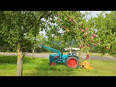 Mulchen mit Hanomag Brillant 600, AHS Hydro Lenkung und Agrimaster KA 2000 Mulcher