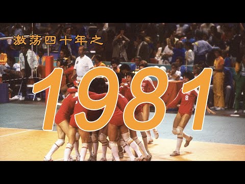1981 年