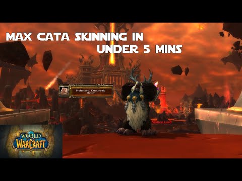 Level Up Cataclysm Skinning in Under 5 Minutes! - World of Warcraft Guides