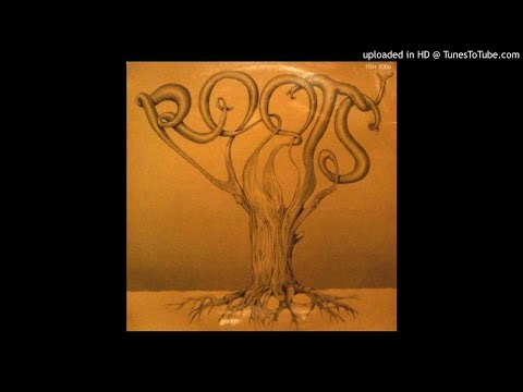 LYSERGICFUNK : Emakhaya  -  The Roots
