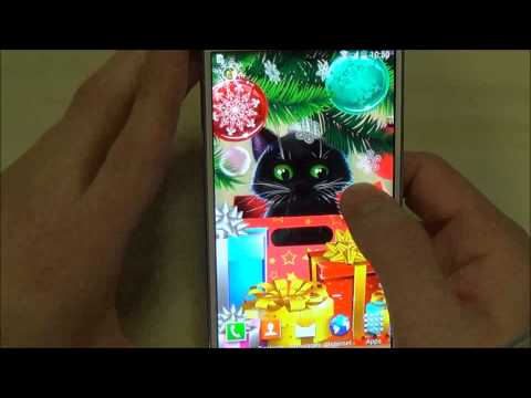 Kitten on Christmas Wallpaper Video