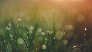 【♯1】ゼロビラジオ【小さい頃の面白い思い出】