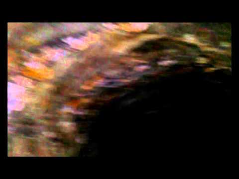 Aaxoo, die dunkle Höhle in Trarbach