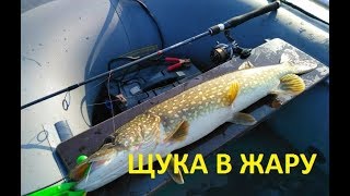 На что клюет щука в жару