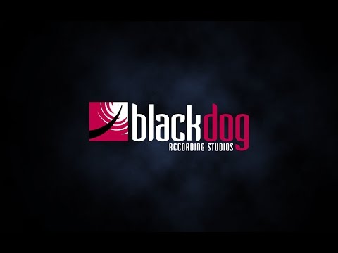 The History of Blackdog Recording Studios