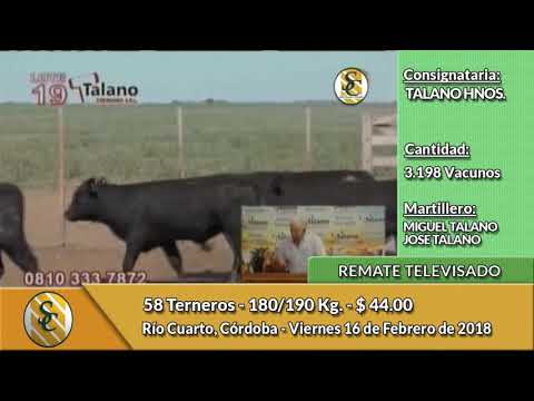 16-02-18 - Remate Televisado de TALANO Hnos - Córdoba